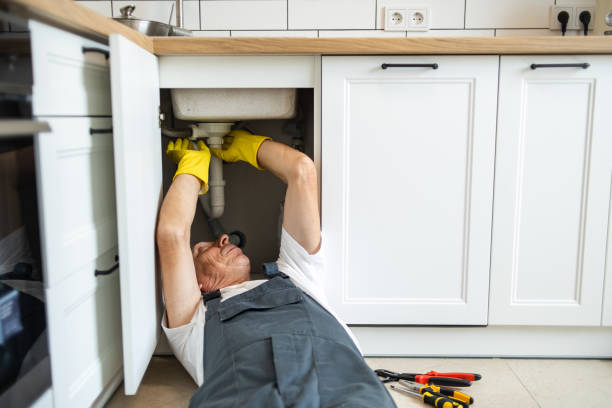 Best Plumbing Services Near Me  in Tanaina, AK